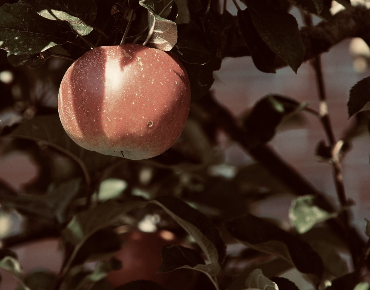 異性の問題と、社会のシステム‥と‥