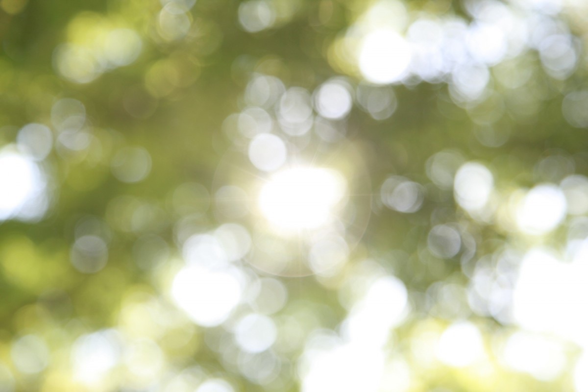 信仰と家族の病と