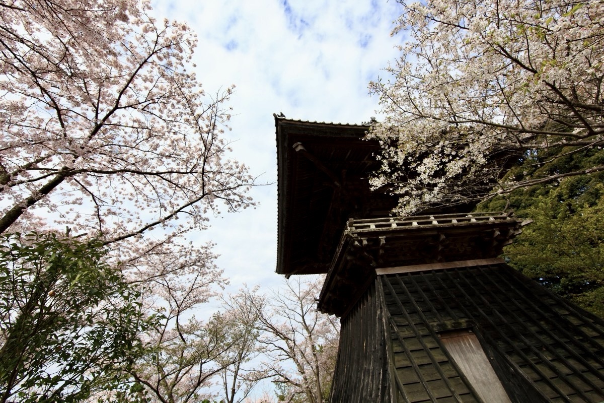 聖書と日本の関わりありそうな出来事を並べてみた‥