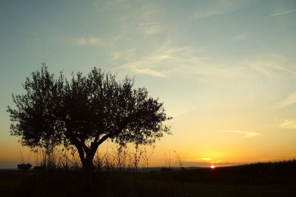 真の平和と、幸福と……（競争社会についての御言葉です）